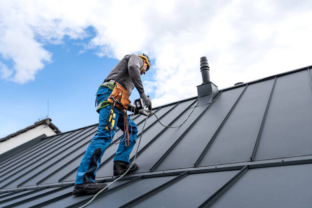 Best Roof Maintenance and Cleaning  in Stepney, CT